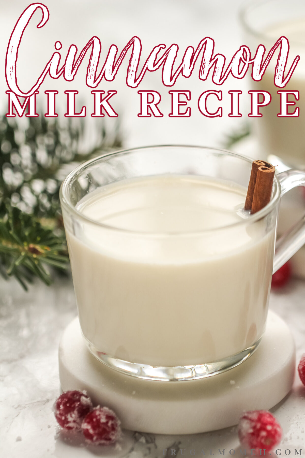 A delicious and simple warm cinnamon milk recipe that offers comfort on cold winter nights. Cozy up with a mug of this sweet spiced drink.