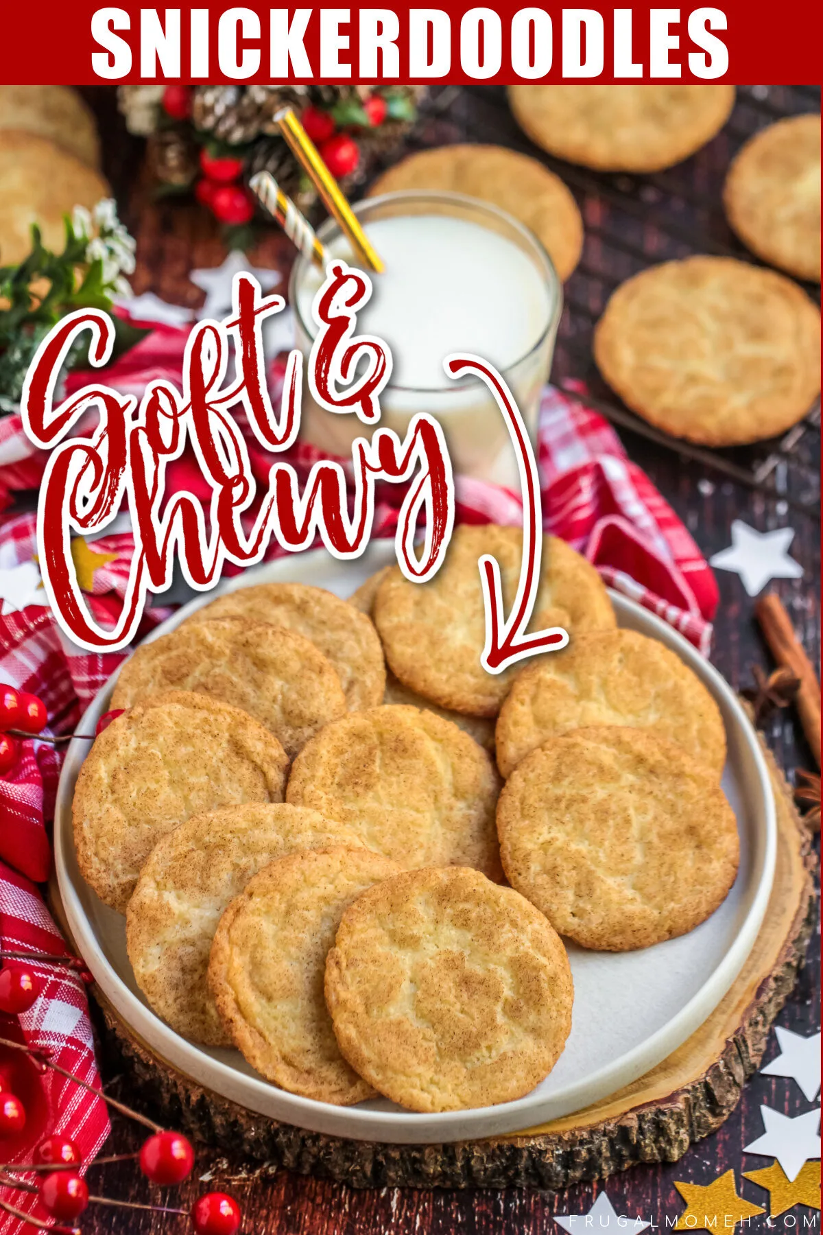 Looking for the perfect recipe for snickerdoodles? These delicious, soft & chewy cinnamon cookies are perfect for holiday celebrations!