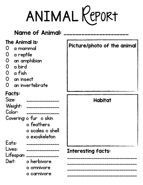 free-printable-animal-report-template-for-kids-frugal-mom-eh