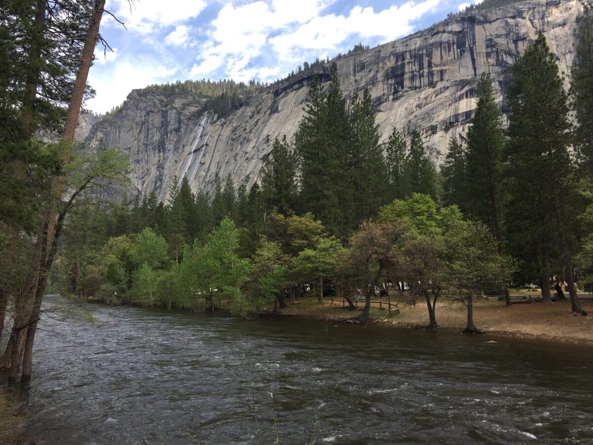 North Pines Campground, Yosemite National Park