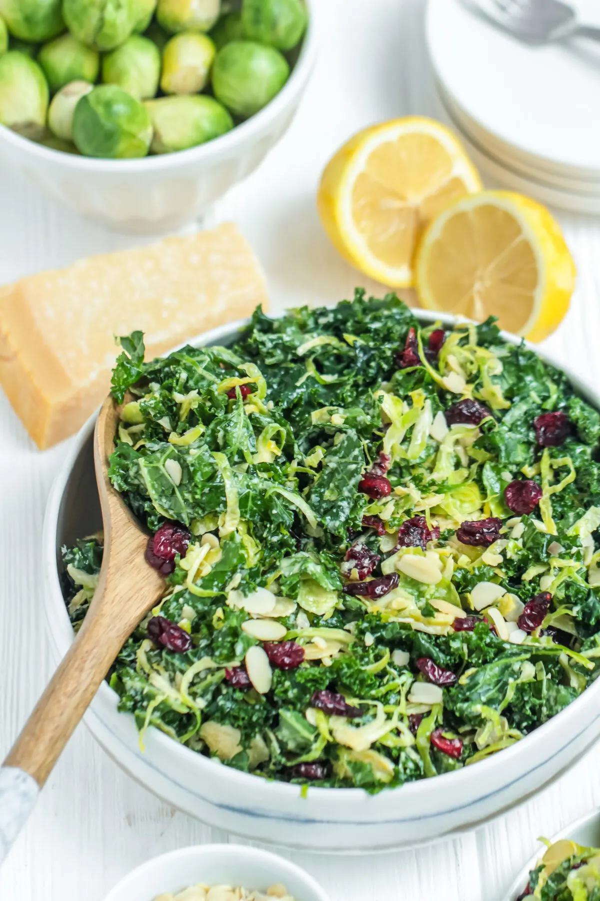 This delicious kale and Brussels sprout salad recipe is perfect for a healthy side dish or light lunch that is perfect for any occasion!