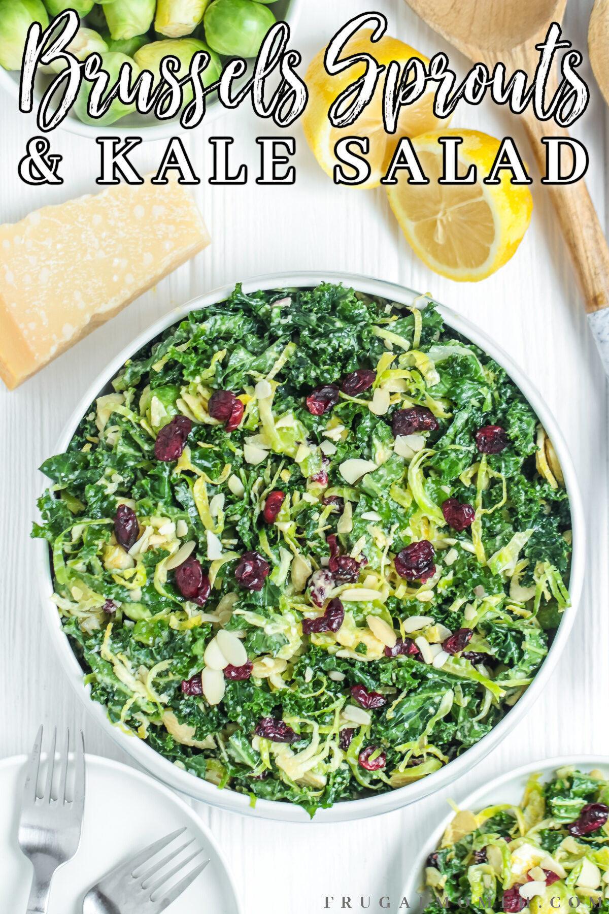 This delicious kale and Brussels sprout salad recipe is perfect for a healthy side dish or light lunch that is perfect for any occasion!