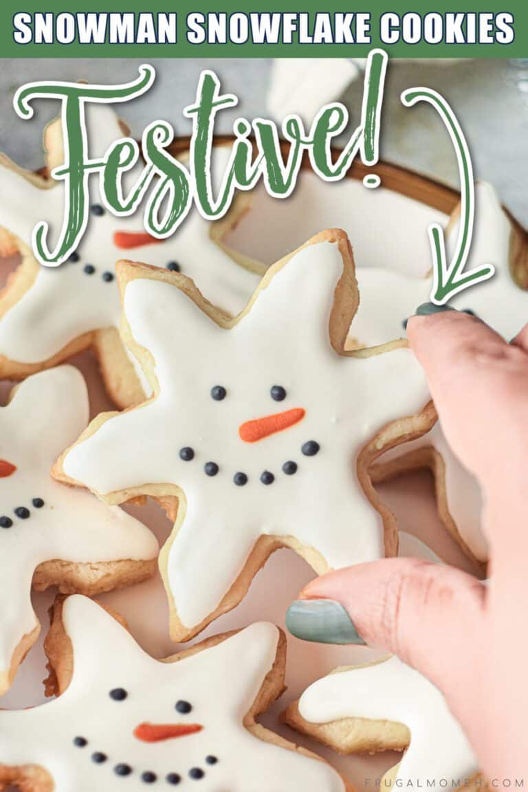 Snowman Snowflake Cookies Recipe Frugal Mom Eh 