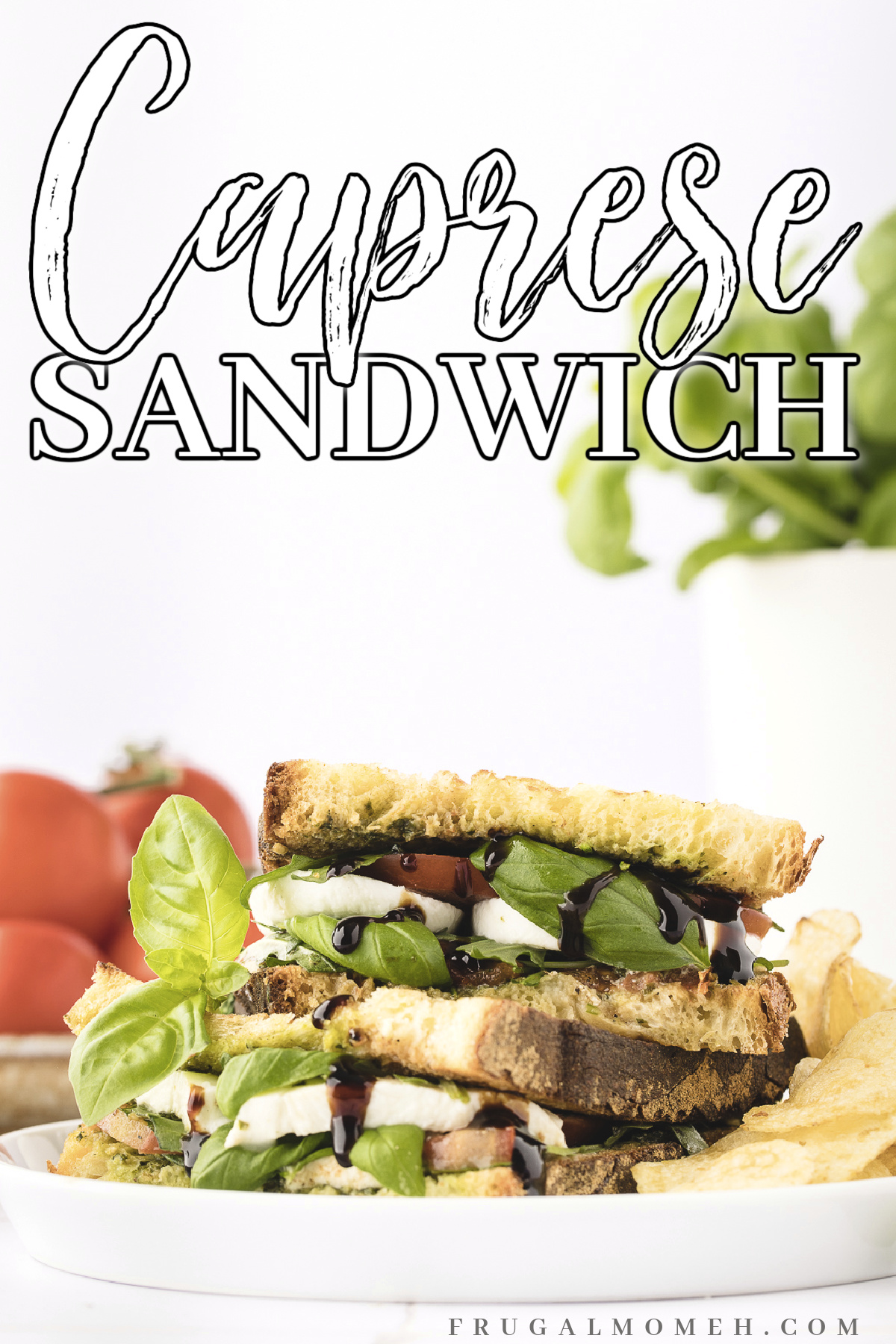 Make a delicious lunch in no time with this quick and easy caprese sandwich recipe featuring Pesto, fresh mozzarella, tomato, and basil.