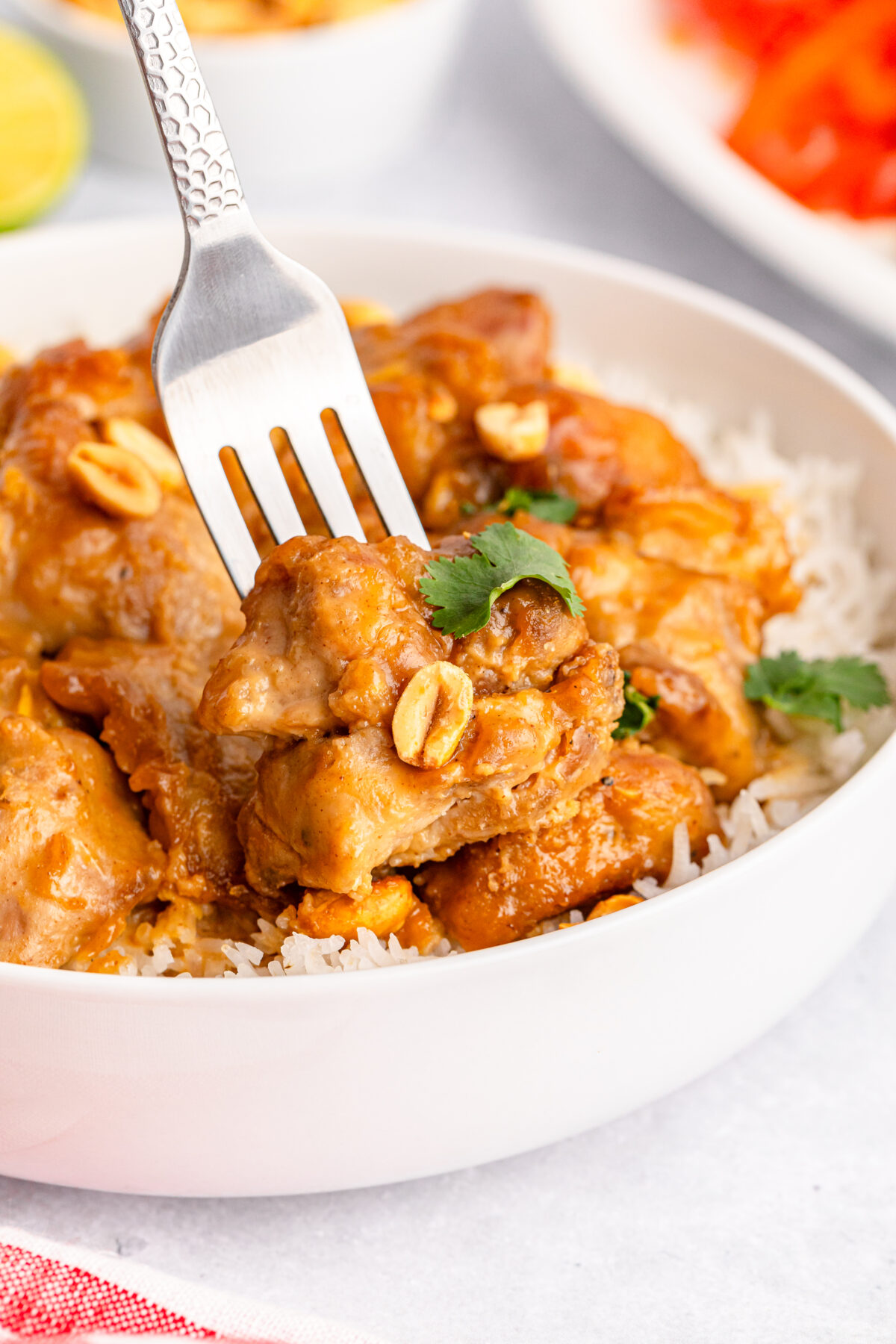 Make a quick and easy peanut butter chicken dish that packs big flavour! This delicious recipe is a simple twist on classic Asian flavours.