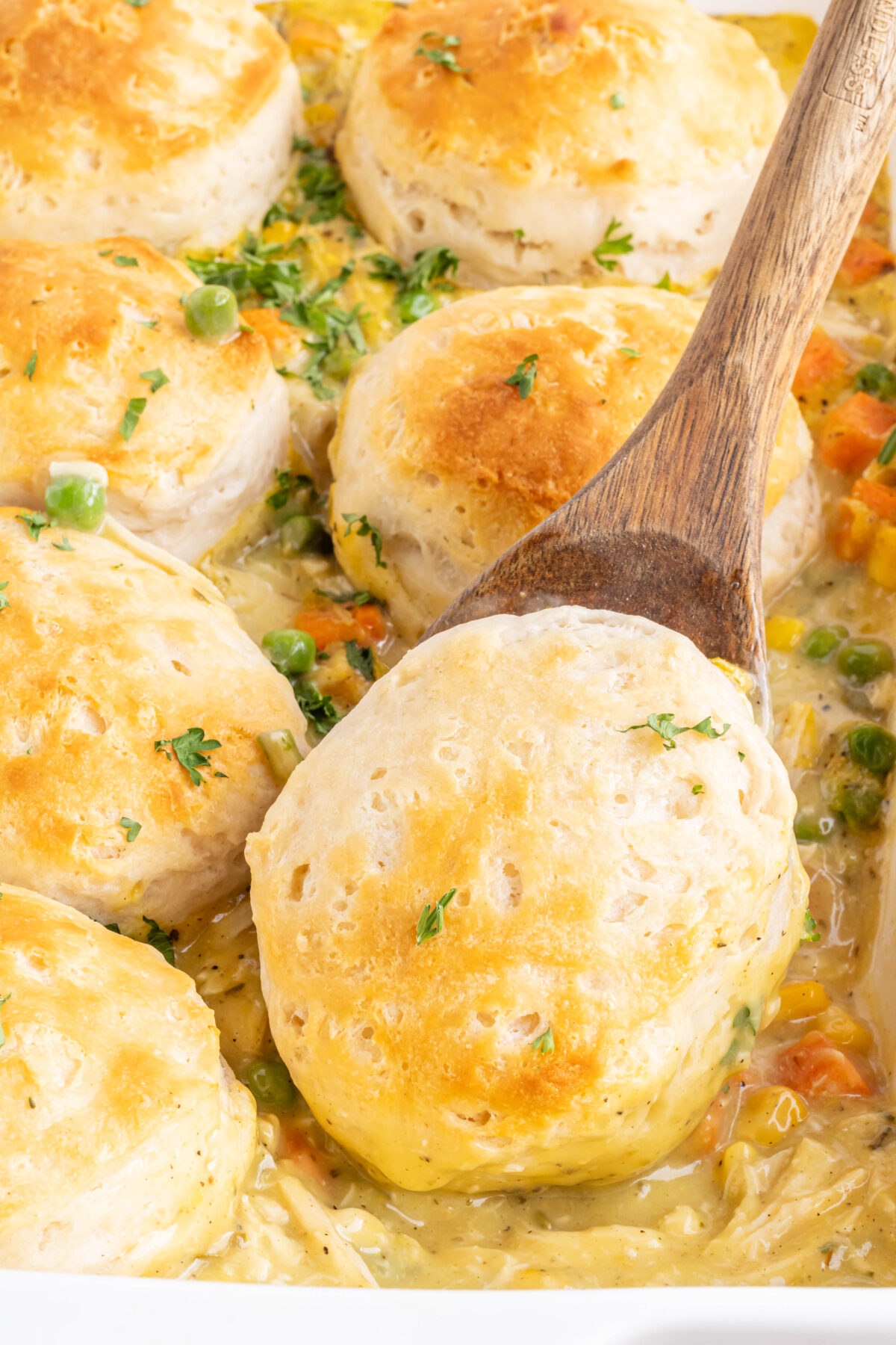 Get your family together for a comforting weeknight meal with this easy chicken pot pie casserole recipe. It's an effortless hearty meal!