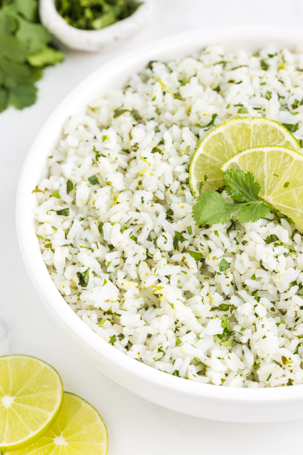 Whip up the perfect side dish with our Cilantro Lime Rice recipe. Packed with fresh herbs and zesty lime, this easy rice dish is irresistible.