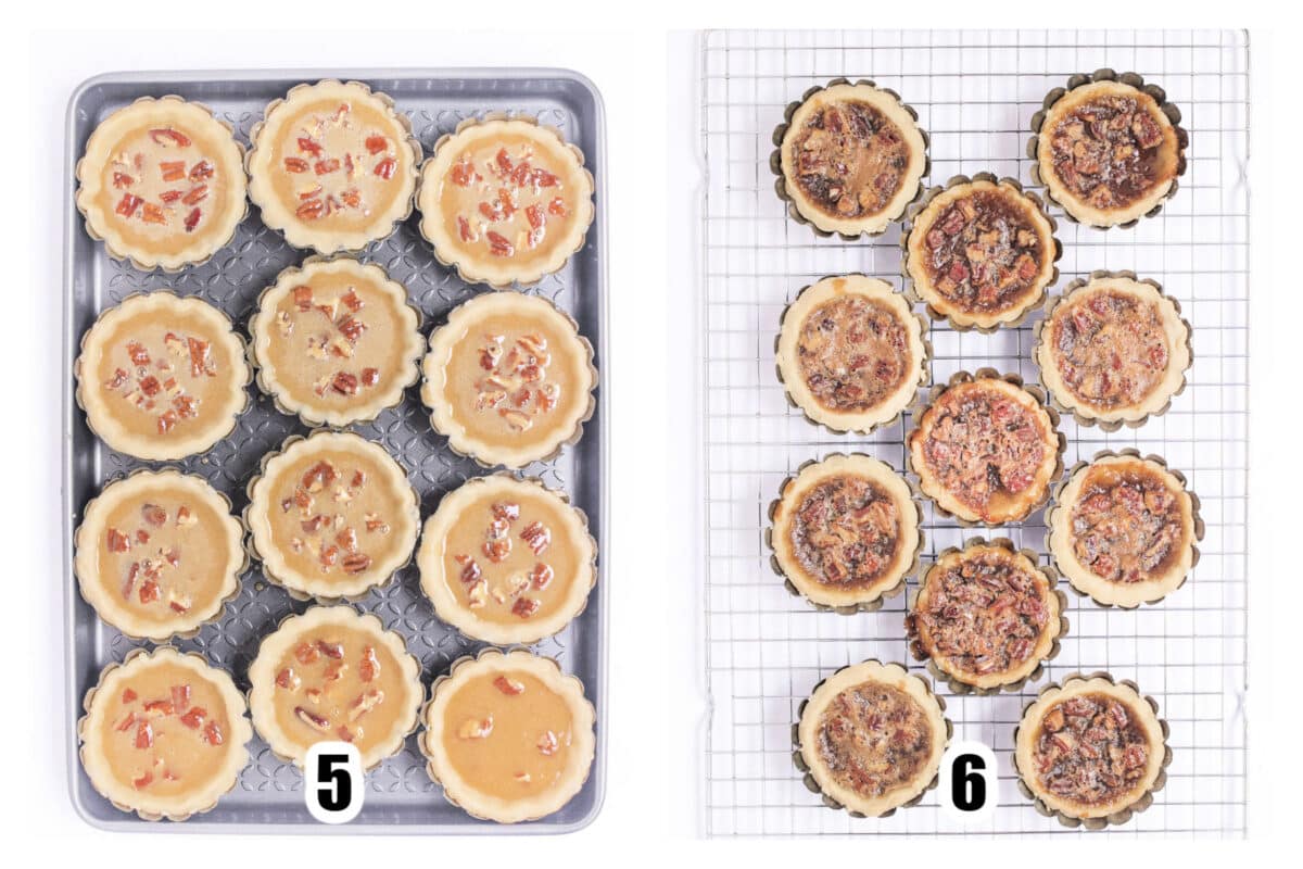 Filling divided between tart shells and baked.